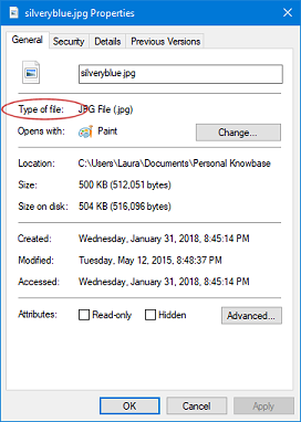 File Properties showing Type of File