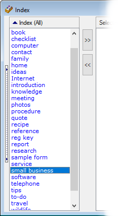 Typing into the Index Column