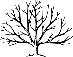 branching tree